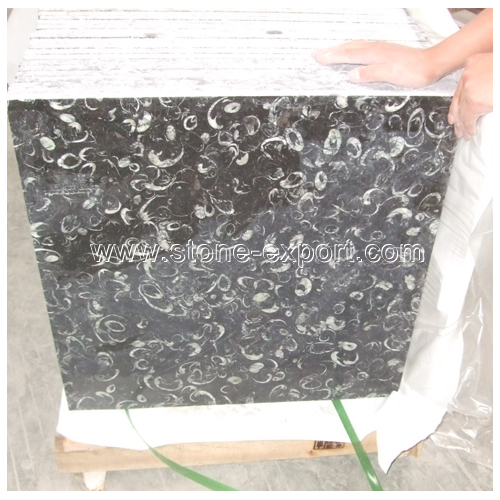 Granite Color,Granite Tiles,Dream Circle Granite