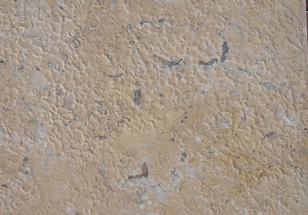 Travertine and Limestone,Chinese Limestone Color,Limestone Color